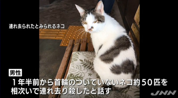 o0718039714443580995