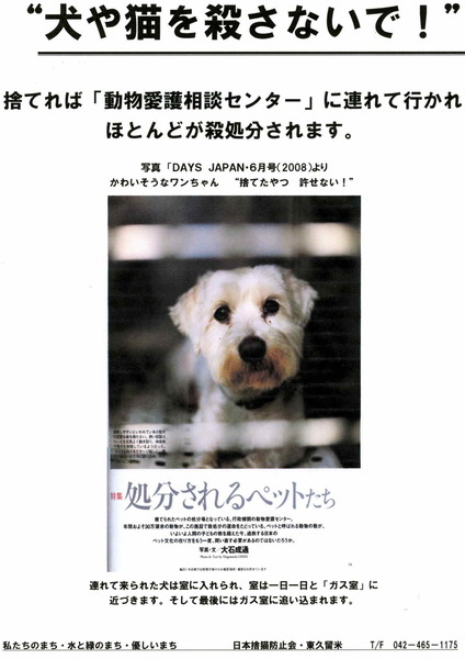 ころさないで