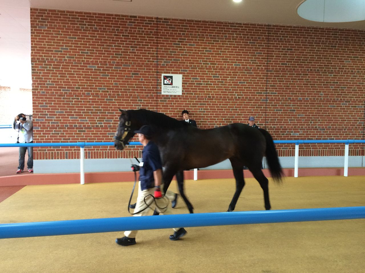 函館競馬場でスペシャルウィークとグラスワンダーが再会 写真あり 今週のマジヤバ競馬予想ブログ エプソムカップ マーメイドステークス18 函館競馬場でスペシャルウィークとグラスワンダーが再会 写真あり 今週のマジヤバ競馬予想ブログ エプソムカップ マーメイドステークス18