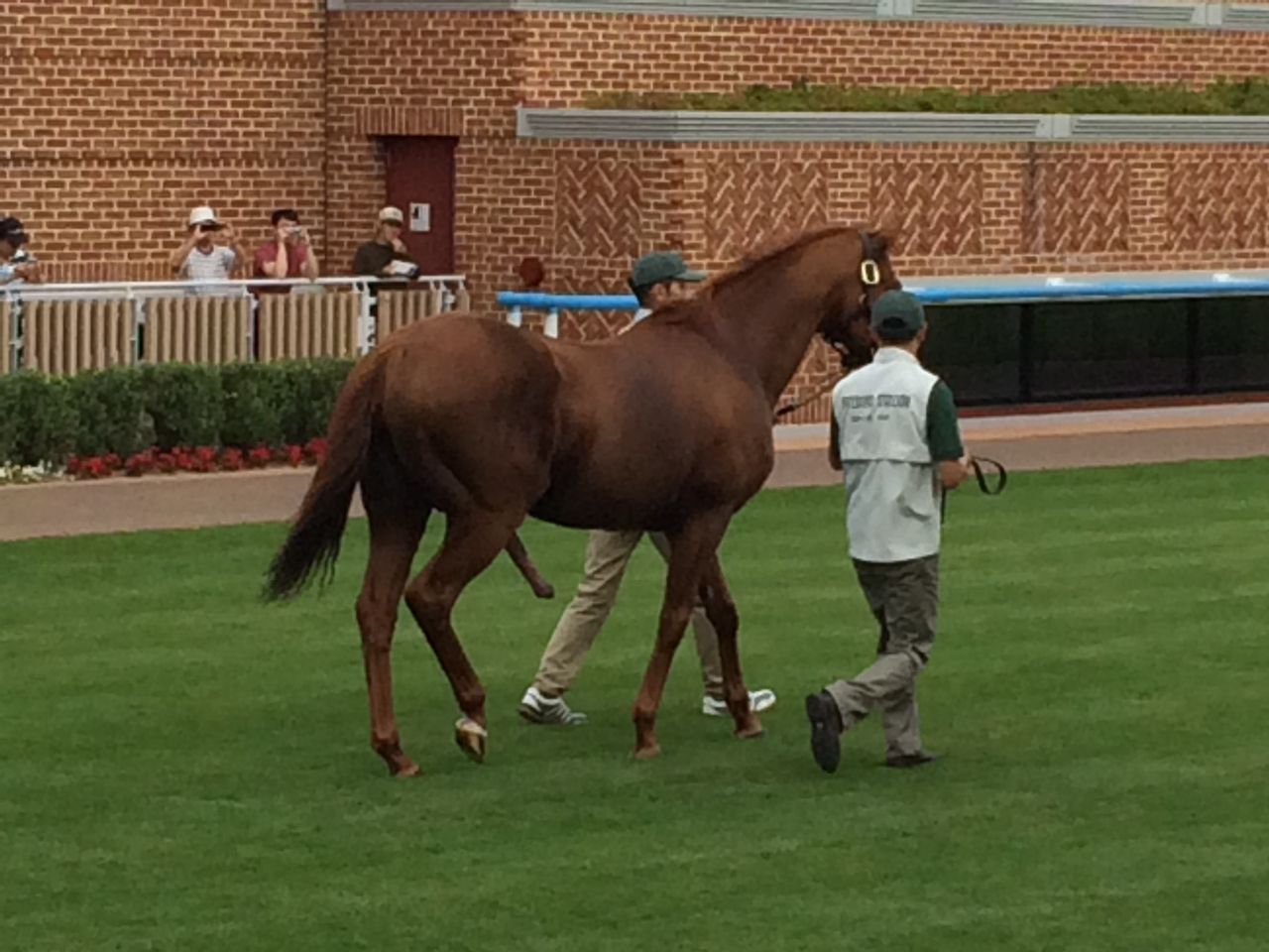 函館競馬場でスペシャルウィークとグラスワンダーが再会 写真あり 今週のマジヤバ競馬予想ブログ エプソムカップ マーメイドステークス18 函館競馬場でスペシャルウィークとグラスワンダーが再会 写真あり 今週のマジヤバ競馬予想ブログ エプソムカップ マーメイドステークス18