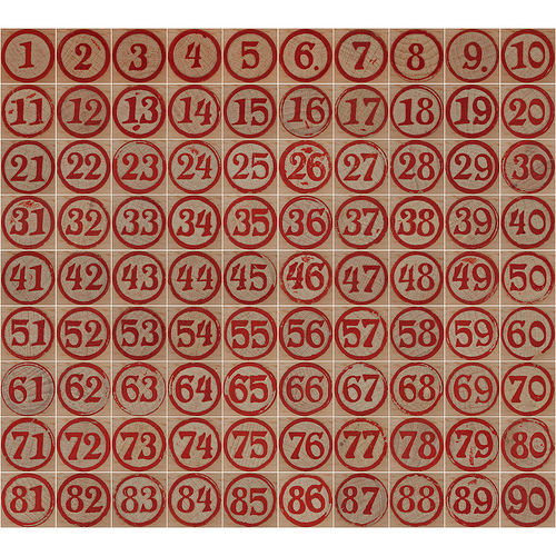 medium_5235528782