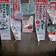 4559572301_4fa4110600_m