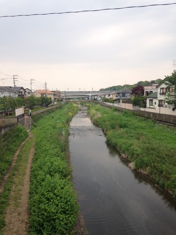 野川20150425