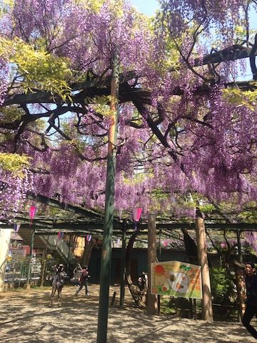 国領20150426_9
