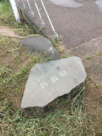 多摩川20150830_10