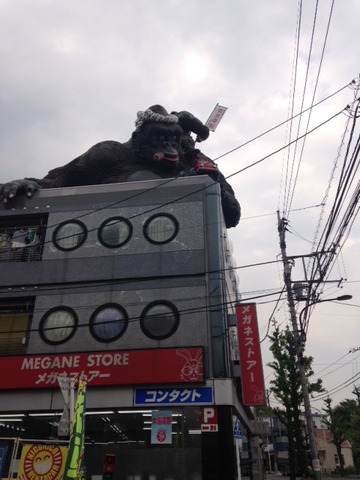 ゴリラ20150425