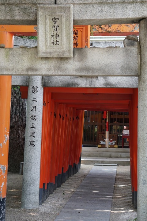 DSC00730