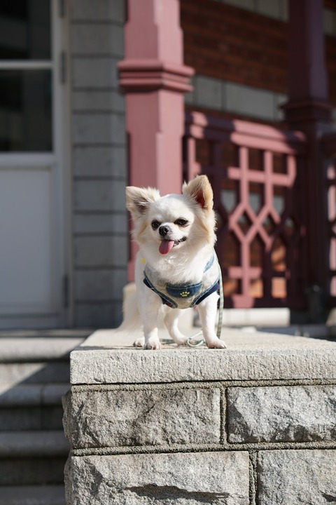 DSC00827