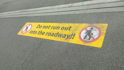 20240622_134016_230_edit_1723276435600