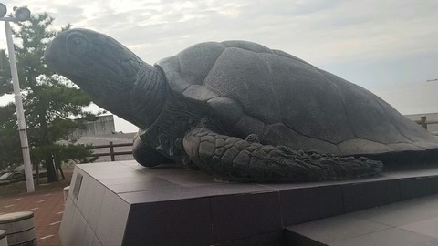 20240906_155421_472_edit_1767569746118