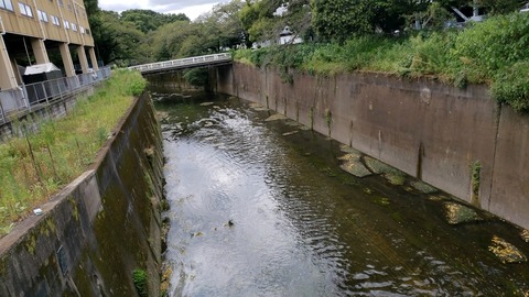 20200828_131731_354