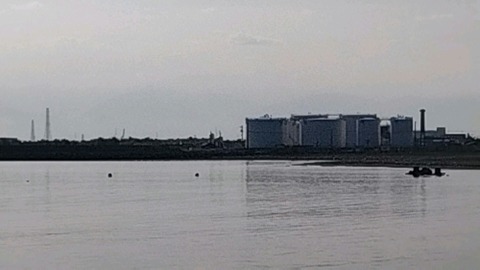 20240906_074929_683_edit_1767219351494