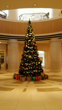 20161125_121045_326-s