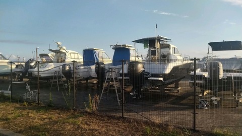 20240906_063222_216_edit_1767225642406