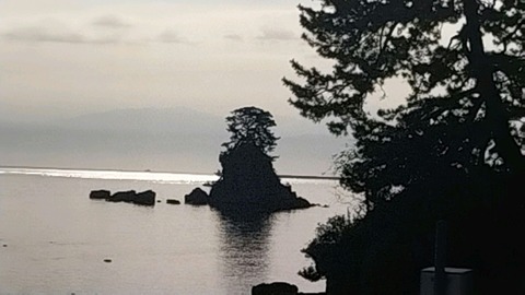 20240906_070922_728_edit_1767224271085