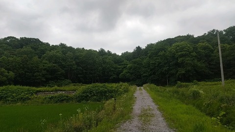 20250704_083818_269