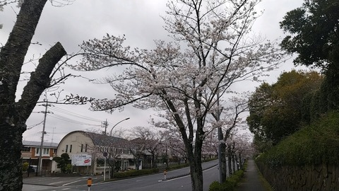 20240405_081230_402_edit_1767578033937