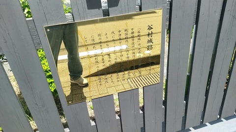 20240622_100508_688_edit_1723276723129