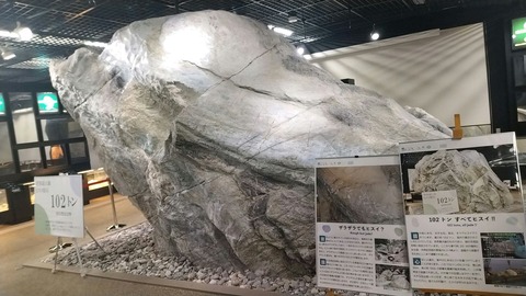 20240906_154849_883_edit_1767569772504