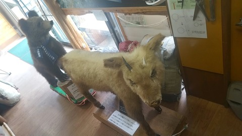 20240817_104615_277_edit_1767232836812