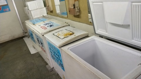 20220909_082450_773_edit_1767304889874