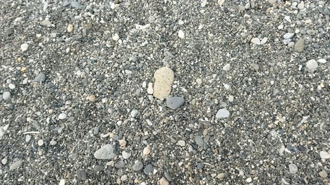 20240906_153613_829_edit_1767569893303