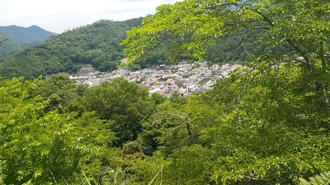 20240622_105035_844_edit_1768520234496