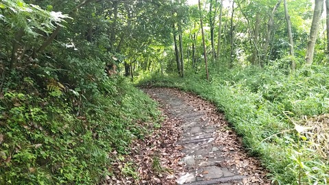 20240622_105859_442_edit_1768520263859