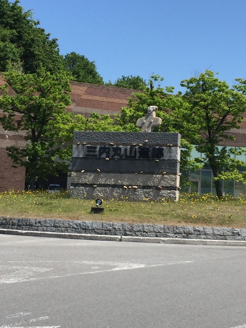 61688205_1646177168860244_6397536637034692608_n