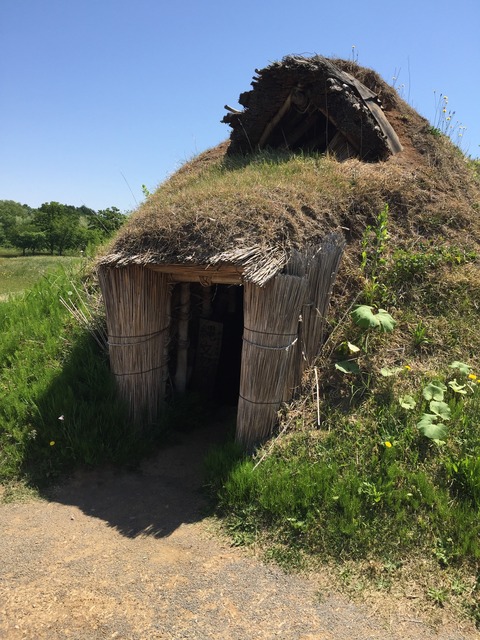 61593935_434582327320320_3262953342728404992_n