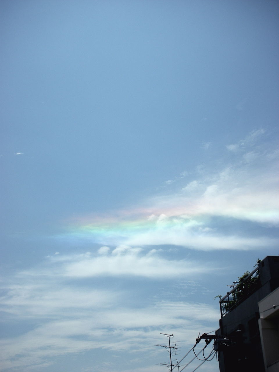 瑞雲 空もよう 心もよう Sora Koko