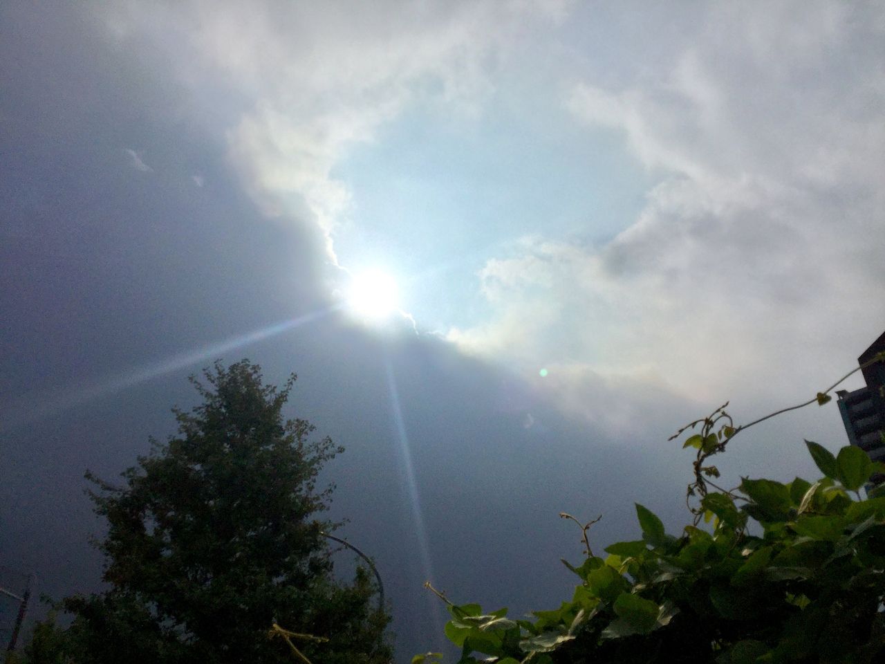 秋の村雨 空もよう 心もよう Sora Koko