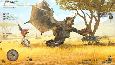 Monster Hunter Wilds_20250630211046