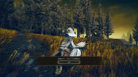 ELDEN RING_20240627233442