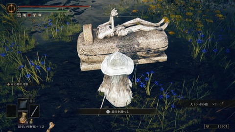 ELDEN RING_20240628213356