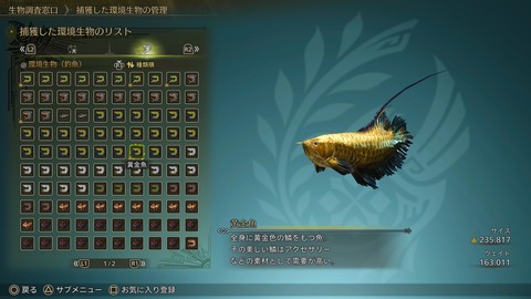 Monster Hunter Wilds_20250528230034