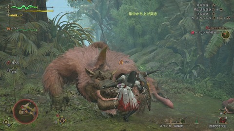 Monster Hunter Wilds_20250228233346