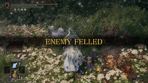 ELDEN RING_20240629232632