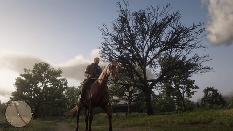 Red Dead Redemption 2_20210615224945