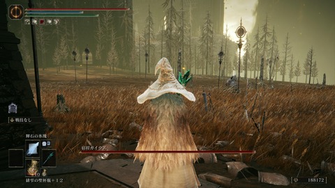 ELDEN RING_20240628230126