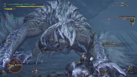 Monster Hunter Wilds_20250310230400