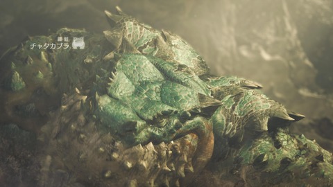 Monster Hunter Wilds Beta test_20241029214610