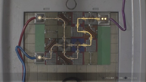 BIOHAZARD RE_2 Z Version_20190126161141