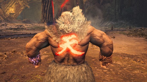 Monster Hunter Wilds_20250528211528