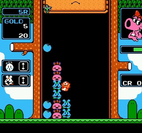 Wario no Mori (Japan)-10