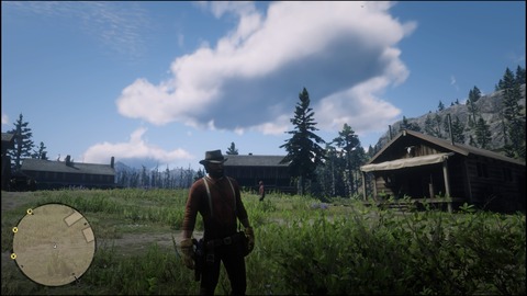 Red Dead Redemption 2_20220109095058
