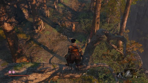 SEKIRO™： SHADOWS DIE TWICE_20190326103053