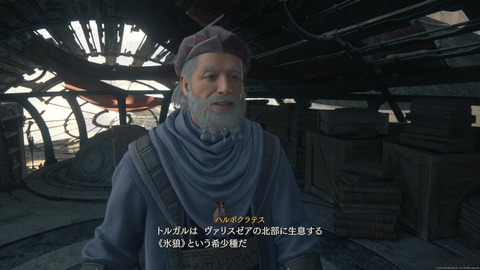 FINAL FANTASY XVI_20230715211913