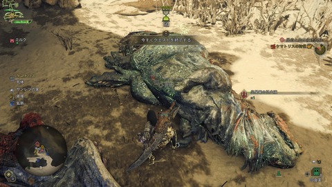 Monster Hunter Wilds_20250228082449