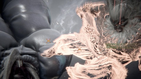 Monster Hunter Wilds_20250528221049